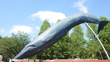 国立科学博物館に投稿された画像（2023/5/1）