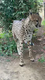 よこはま動物園ズーラシアに投稿された画像（2023/5/4）