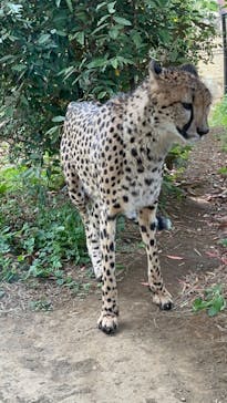 よこはま動物園ズーラシアに投稿された画像（2023/5/3）