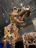 特別展「恐竜博2023」に投稿された画像（2023/5/4）