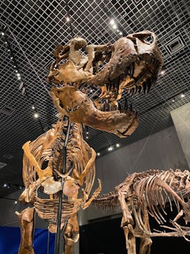 特別展「恐竜博2023」に投稿された画像（2023/5/3）