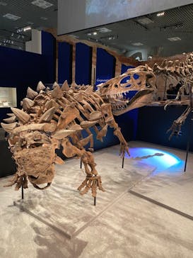 特別展「恐竜博2023」に投稿された画像（2023/5/3）