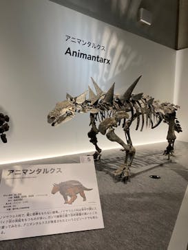 特別展「恐竜博2023」に投稿された画像（2023/5/3）
