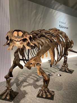 特別展「恐竜博2023」に投稿された画像（2023/5/3）