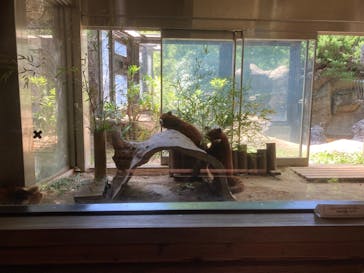 よこはま動物園ズーラシアに投稿された画像（2023/5/3）