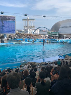 名古屋港水族館に投稿された画像（2023/5/4）