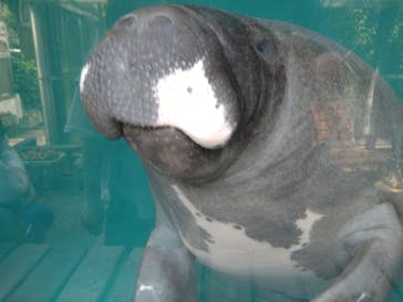 熱川バナナワニ園に投稿された画像（2023/5/4）