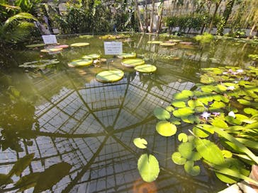 熱川バナナワニ園に投稿された画像（2023/5/4）