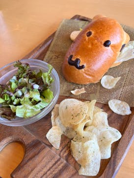 伊豆シャボテン動物公園に投稿された画像（2023/5/3）