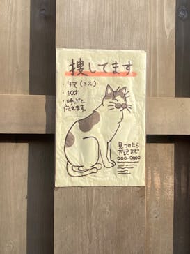 西武園ゆうえんちに投稿された画像（2023/5/4）