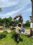 天王寺動物園に投稿された画像（2023/5/4）