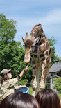 天王寺動物園に投稿された画像（2023/5/4）