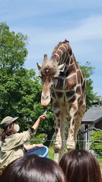 天王寺動物園に投稿された画像（2023/5/4）