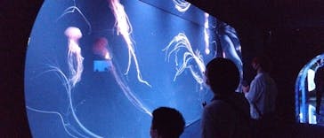 サンシャイン水族館に投稿された画像（2023/5/4）