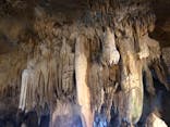 石垣島鍾乳洞に投稿された画像（2023/5/4）