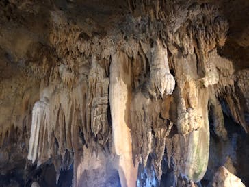 石垣島鍾乳洞に投稿された画像（2023/5/4）