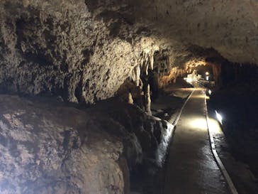 石垣島鍾乳洞に投稿された画像（2023/5/4）