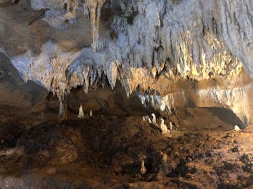 石垣島鍾乳洞に投稿された画像（2023/5/4）