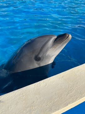 南知多ビーチランド＆南知多おもちゃ王国に投稿された画像（2023/5/4）