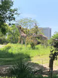 天王寺動物園に投稿された画像（2023/5/4）