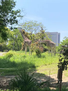 天王寺動物園に投稿された画像（2023/5/4）