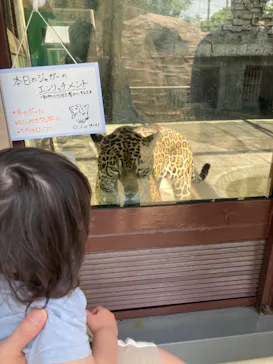 天王寺動物園に投稿された画像（2023/5/4）
