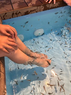 箱根小涌園ユネッサンに投稿された画像（2023/5/4）