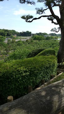 偕楽園本園に投稿された画像（2023/5/4）