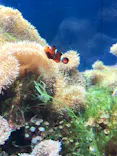 名古屋港水族館に投稿された画像（2023/5/4）