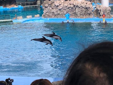 名古屋港水族館に投稿された画像（2023/5/4）