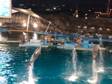 名古屋港水族館に投稿された画像（2023/5/4）