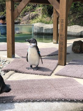 那須どうぶつ王国に投稿された画像（2023/5/4）