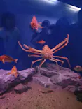 名古屋港水族館に投稿された画像（2023/5/4）