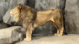 よこはま動物園ズーラシアに投稿された画像（2023/5/4）