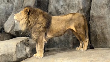 よこはま動物園ズーラシアに投稿された画像（2023/5/4）