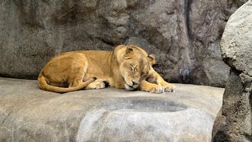 よこはま動物園ズーラシアに投稿された画像（2023/5/4）
