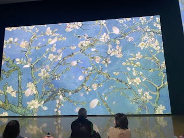 ゴッホ・アライブ神戸に投稿された画像（2023/5/4）