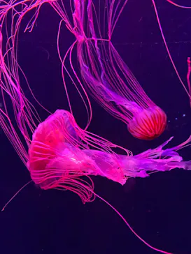 すみだ水族館に投稿された画像（2023/5/4）