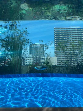 サンシャイン水族館に投稿された画像（2023/5/4）