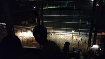 那須サファリパークに投稿された画像（2023/5/4）