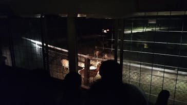 那須サファリパークに投稿された画像（2023/5/4）