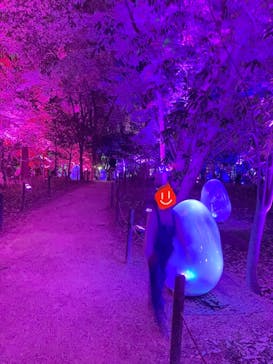 チームラボ ボタニカルガーデン 大阪に投稿された画像（2023/5/4）