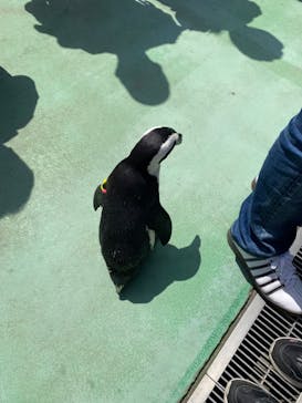 ゼロ距離水族館 伊勢シーパラダイスに投稿された画像（2023/5/4）