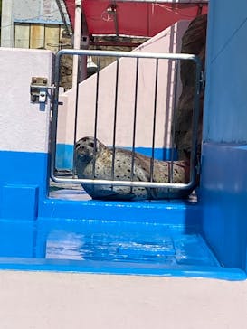 ゼロ距離水族館 伊勢シーパラダイスに投稿された画像（2023/5/4）