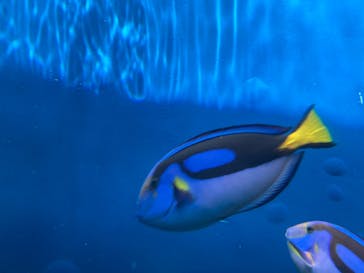 環境水族館アクアマリンふくしまに投稿された画像（2023/5/4）