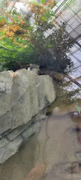 神戸どうぶつ王国に投稿された画像（2023/5/4）