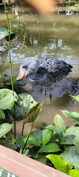 神戸どうぶつ王国に投稿された画像（2023/5/4）