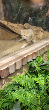 神戸どうぶつ王国に投稿された画像（2023/5/4）