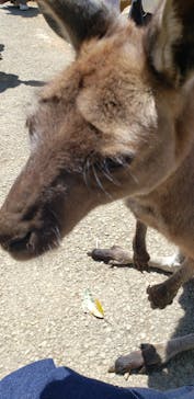 伊豆シャボテン動物公園に投稿された画像（2023/5/4）