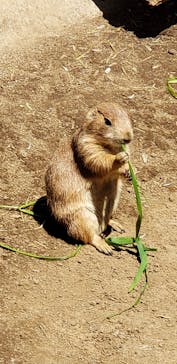 伊豆シャボテン動物公園に投稿された画像（2023/5/4）